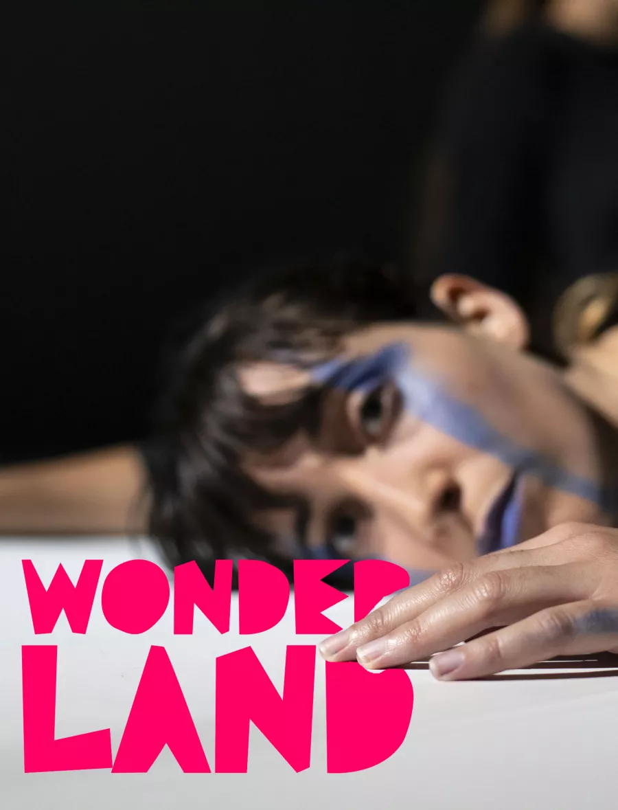 Wonderland · Sylvain Huc