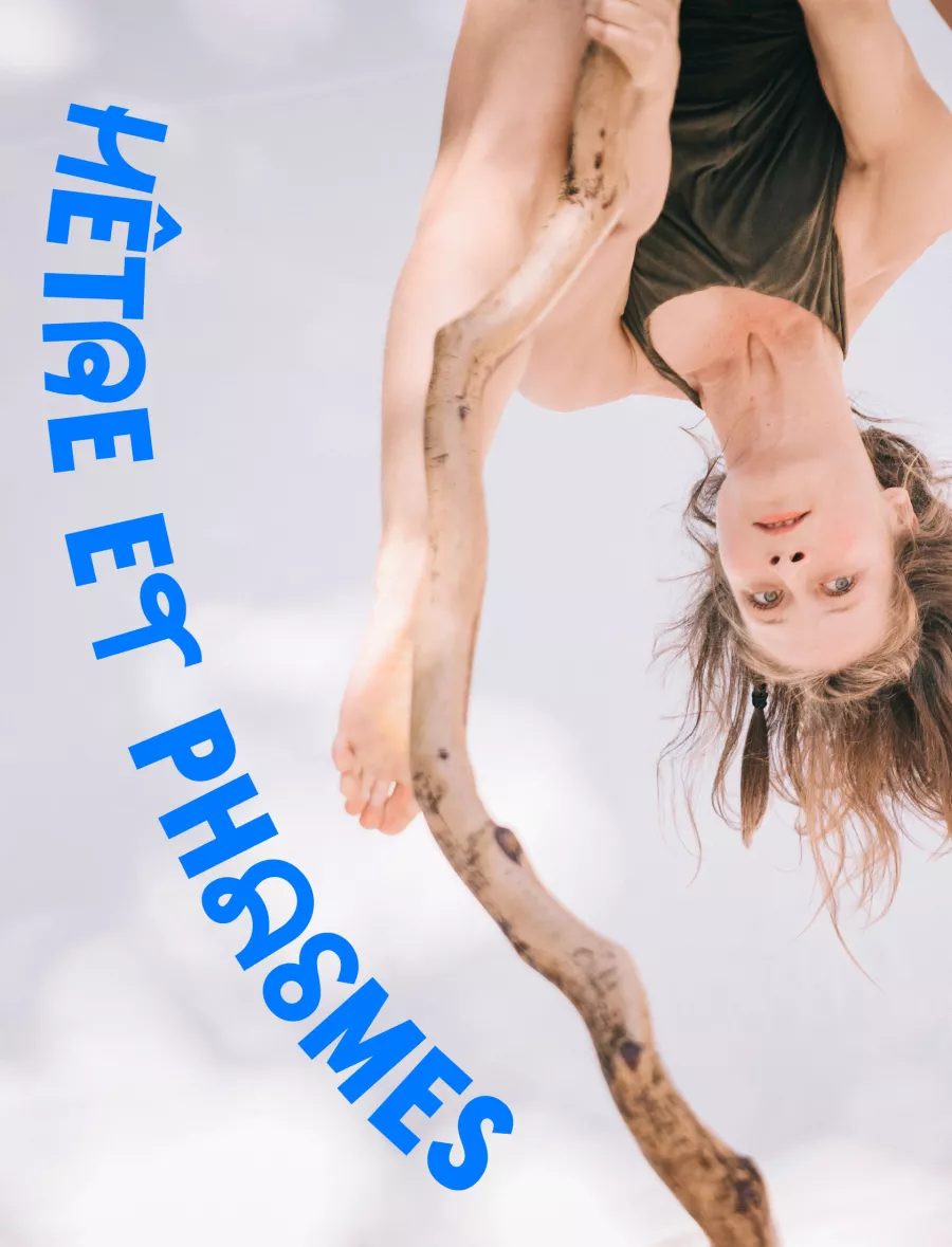 Hêtre et Phasmes · Fanny Soriano
