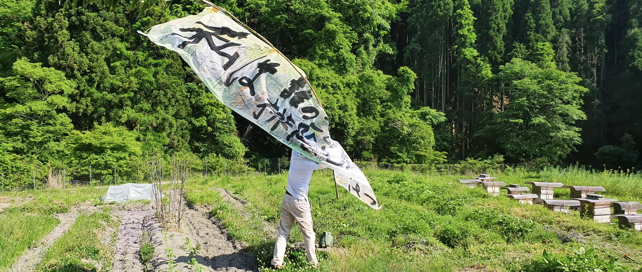 Hiku