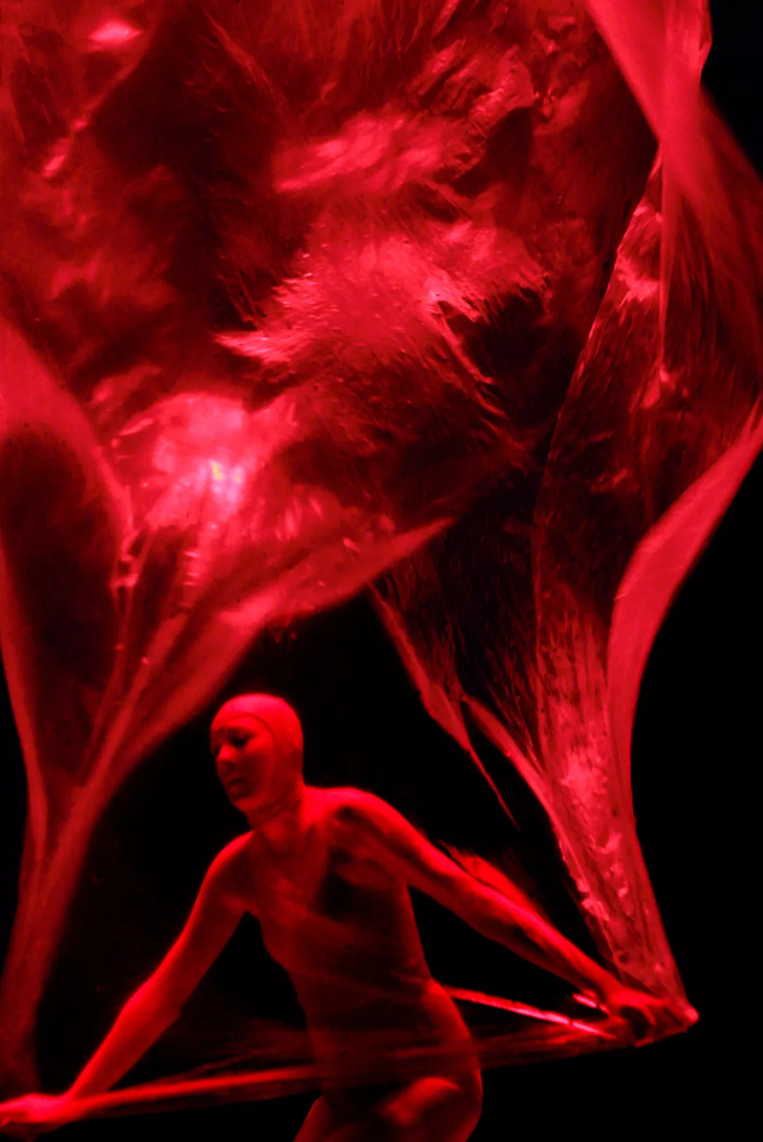 Vortex